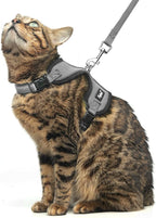 PUPTECK Cat Harness and Leash Set Escape Proof, Reflective Adjustable Soft Mesh Kitten Vest Harness for Walking Travel, Grey, S
