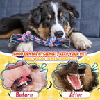 100 Pieces Knot Rope Dog Toys Multi Color Puppy Chew Toy Cotton Puppy Toys Dental Dog Teething Toys 2 Knot Dog Tug for Small and Medium Dogs Aggressive Chewers Supplies