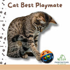 Large Cat Ball Toy with Bell - Durable, Self-Entertainment, Colorful Indoor Exercise (Yellow & Purple) (Blue & Red)