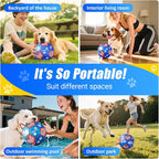 Size 2 Dog Soccer Ball with Straps Durable Training Ball for Pets Interactive Outdoor Dog Toy, Blue & Red, Paw Prints Flag Design, for Small to Medium Puppies, Pet Supplies