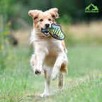 Plush Dog Toys | 2 Pack Bluegill & Trout Fish Stuffed Animal Squeaky Toy for Dogs | Outdoor Pet Toy Built for Adventure