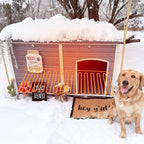 Aivituvin Large Heated Dog House, Outdoor Kennel with Insulation Liner, 59 Inch, Iron Frame Construction, Winter Weatherproof Design, Built-in Heater，Grey