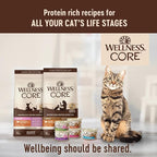 Wellness CORE Adult Dry Cat Food for Indoor & Outdoor Cats, Grain-Free, Natural, Original Turkey, Turkey Meal & Chicken (11 Pound Bag)