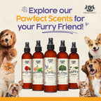 Dog Perfume Spray Long Lasting Balancing Rose 8 Fl Oz - Dog Calming Spray Scent Mist for Shining Fur, Puppy Cologne, Doggie Deodorant Fragrance Mist Pet Perfume for All Breeds by Gerrard Larriett