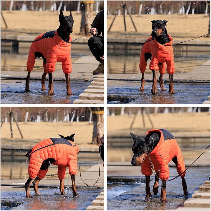 Lovelonglong Warm Jacket - 4 Legs Covered Waterproof Windproof Reflective Vest, Zippered Adjustable Outdoor Snow Jacket for Small Medium Large Dogs, Orange XXL