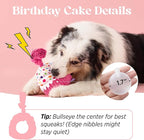 LE SURE Dog Birthday Cake Toy - Cute Dog Birthday Cake Squeaky Toy with Interactive Tug Rope, Interactive Chew Toy for Puppy Birthdays Party & Daily Play, XSmall, Pink