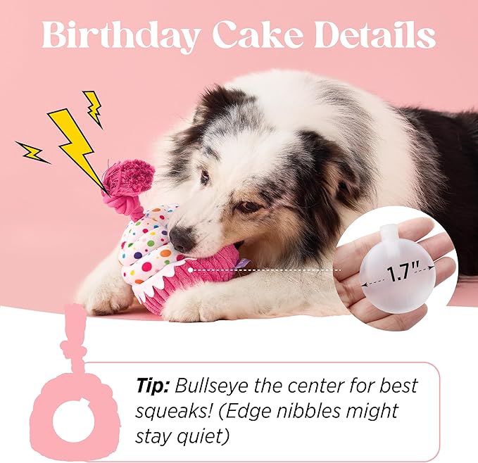 LE SURE Dog Birthday Cake Toy - Cute Dog Birthday Cake Squeaky Toy with Interactive Tug Rope, Interactive Chew Toy for Puppy Birthdays Party & Daily Play, XSmall, Pink