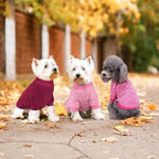 Idepet Pet Dog Classic Knitwear Sweater 3 Pcs, Fleece Coat for Small,Medium Dogs,Warm Pet Dog Cat Clothes,Soft Puppy Customes for Dog Grils Boys,XX-Small