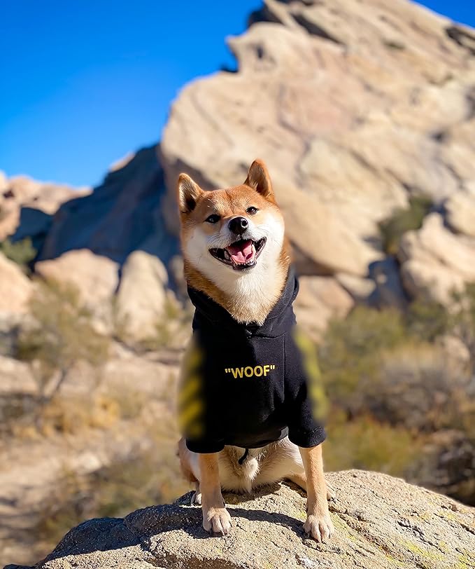 ChoChoCho Stylish Dog Hoodie Dog Clothes Streetwear Cotton Sweatshirt Fashion Outfit for Dogs Cats Puppy Small Medium Large (S, Yellow)