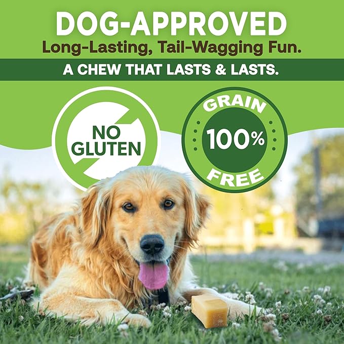 EcoKind Premium Gold Yak Cheese Himalayan Dog Chews, Healthy Dog Treats, Yak Chews for Small Dogs, All Natural, Long Lasting Dog Chew for Aggressive Chewers, High Protein Puppy Treat, Small - 8 Chews