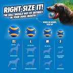 Chuckit! Ultra Squeaker Balls for Dogs, Floating Water Pet Toys, Durable Rubber Pet Toy, Bouncy Squeaky Fetch Balls For Dogs, Pack of 2, Medium (2.5")