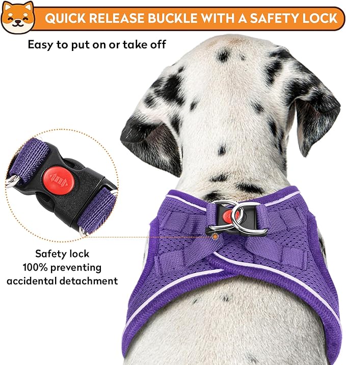 Dog Harness with Leash Set, No-Pull Step-in Reflective Pet Harness with 1 Leash Clips, Adjustable Soft Padded Easy Walk Dog Vest for Small Medium Large Dogs, Cats(Light Purple, Large)