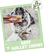 Nature Gnaws Beef Gullet Chews for Large Dogs 9-10" (20 Count) - Natural Beef Jerky Stick Dog Chew Treats - Rawhide Free