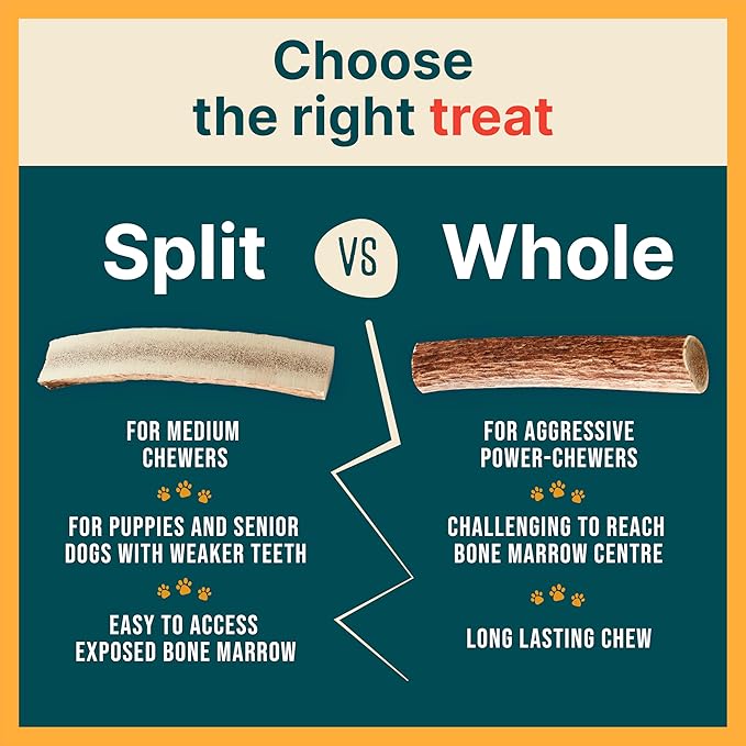 100% Natural - Split Antlers for Dogs ( 3pack ) - Naturally Shed in USA - Grade A Long Lasting Chew for Aggressive Chewers - Elk Antlers Dog Antler Chews - Treats & Toys - No Odor & No Mess - Small