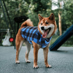 ASENKU Dog Plaid Shirt, Dog Sweater Plaid Reversible Doggie Vest Pets Clothes Pet Apparel for Small Medium Large Dogs, Blue, S