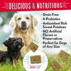 Charlee Bear Grain Free Meaty Bites Freeze Dried Dog Treats with Probiotics, Puppy Training Snacks, Soft Dog Bites Salmon with Sweet Potatoes, 2.25 oz Bags (2), Made USA