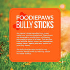 FOODIEPAWS Bully Stick Bites for Dogs, 1 lb Bulk Pack (2-3 Inch) | Training Treats | All Natural, Grass-Fed Beef Pizzle | Grain-Free, Rawhide-Free & Fully Digestible | High Protein Dental Chews