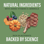 Natural Balance Specialized Nutrition Dry Dog Food with Lamb and Oatmeal for Dogs, Digestive & Immune Health Food, Natural Ingredients with Added Vitamins & Minerals - 22 lbs