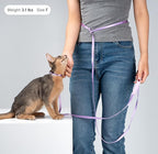 Sierra Blue M Cat Harness and Leash Set, Lightweight Escape Proof, Adjustable, Walking Training