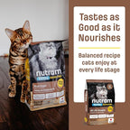 T22 Grain-Free Cat Food – Chicken & Turkey Dry Kibble | Holistic andHigh Protein, Urinary Support, Clean Nutrition for Adult Cats & Kittens | Supports a Strong Immune System (4.4 Pounds)