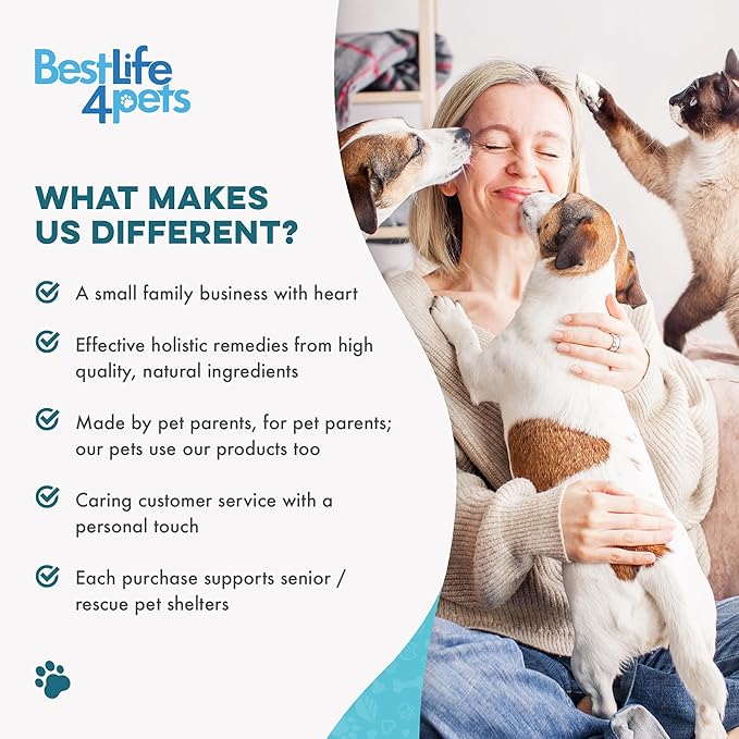 Cat Bad Breath & Oral Health Remedy, Natural Dental Care Cats Teeth, Mouth and Gums, Easy to Use Daily Supplement for Stomatitis, Gingivitis, Plaque & Tartar Control for Cats, 800 Small Pills