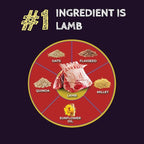 Zignature Select Cuts Lamb Formula Dry Dog Food 25lb