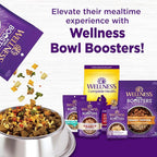 Wellness Complete Health Dry Dog Food with Grains, Made in USA with Real Meat & Natural Ingredients, All Breeds, Adult Dogs (Chicken & Oatmeal, 30-lb) – With Nutrients for Immune, Skin, & Coat Support