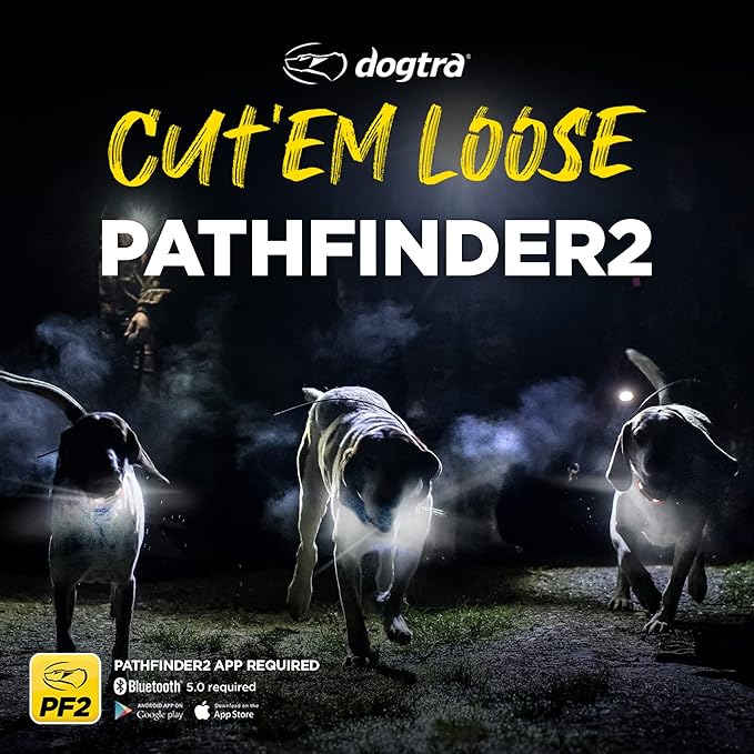 Dogtra Pathfinder 2 GPS Tracker e Collar + Titanium Contact Points 1" | 9 Mile, LED Light, No Monthly Fees, Waterproof, Smartwatch Control, Satellite Tracking, Multiple Dogs, Smartphone Required