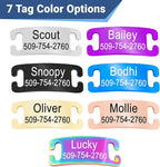 GoTags Personalized Reflective Cat Collars with Tag, Engraved Custom with Name and Phone, Breakaway Collar with Safety Buckle and Bell, Adjustable for Cats and Kitten, (Black with Nameplate)
