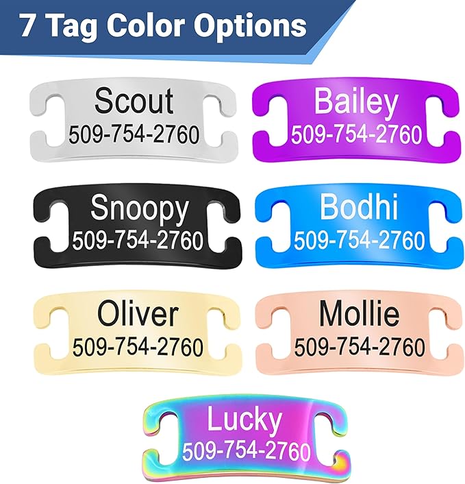 GoTags Personalized Reflective Cat Collars with Tag, Engraved Custom with Name and Phone, Breakaway Collar with Safety Buckle and Bell, Adjustable for Cats and Kitten, (Black with Nameplate)