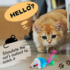 60 PCS Furry Cat Toys Squeak Mouse Rattle Mice Cat Catcher Pet Toys with Feather Tails (Random Color)