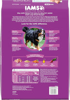 IAMS Proactive Health Healthy Aging Large Breed Dog Food for Mature and Senior Dogs with Real Chicken, 15 lb. Bag