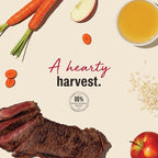 The Honest Kitchen Jerky Harvest Mini Bars: Beef Recipe With Carrots & Apples, 4 oz Bag