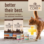 Wellness CORE+ Adult Dry Cat Food for Indoor Cats, Grain-Free, Natural, Salmon and Herring Meal (5 Pound Bag)