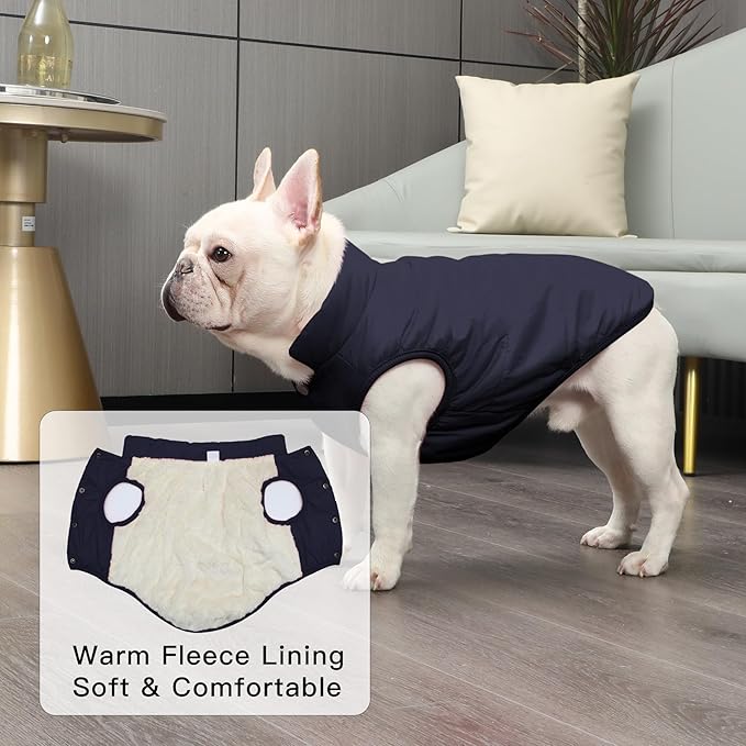 2 Layers Fleece Lined Warm Dog Jacket for Winter Cold Weather,Soft Windproof Medium Dog Coat,Blue XL