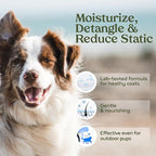 PAWFUME Dog Perfume Spray for Grooming, Blue Ribbon, 2-Pack – Keep Your Pup Fresh All Day – Probiotic, Alcohol-Free, Detangling & Moisturizing – Salon-Quality Dog Spray Deodorizer Perfume