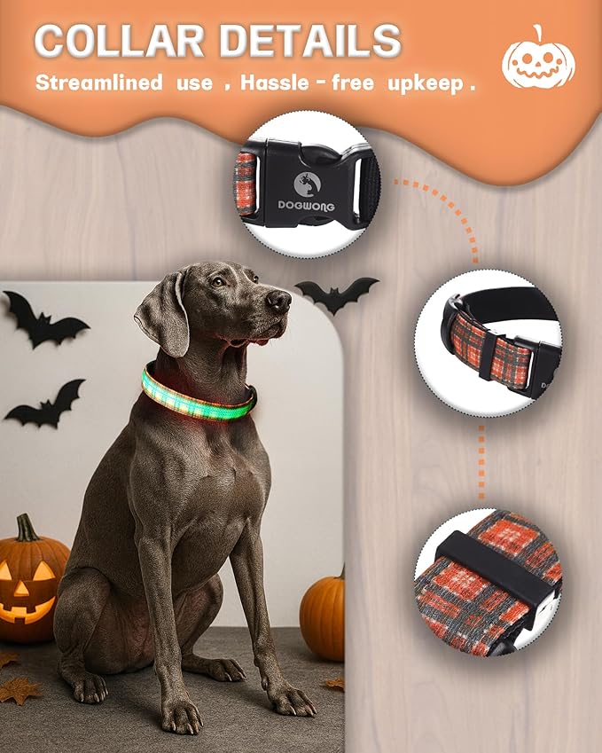 DOGWONG LED Dog Collar - Fall Orange Plaid Heavy Duty Light up Dog Collars - Rechargeable Waterproof - Lighted Dog Collars for Night Walking, Hiking, Camping(Orange Plaid,M)