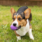 Furhaven 3-Pack 2.5" Squeaky Ball Dog Toys for Small/Medium Dogs, Fits Most Standard Launchers - Fetch 'N Fun TPR Squeaky Ball Toy Set - Space Pack, Set of 3
