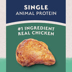 Natural Balance Limited Ingredient Adult Grain-Free Dry Dog Food, Chicken & Sweet Potato Recipe, 24 Pound (Pack of 1)