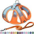 AIITLE Comfortable Dog Harness and Leash Set for Walking - Summer Step in Vest Harness,Reflective Bands, Adjustable No Pull Puppy Essentials, for Small Dogs and House Cats Orange XS