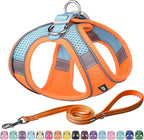 AIITLE Comfortable Dog Harness and Leash Set for Walking - Summer Step in Vest Harness,Reflective Bands, Adjustable No Pull Puppy Essentials, for Small Dogs and House Cats Orange XS
