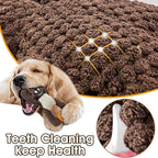 Squeaky Dog Chew Toys for Aggressive Chewers, Dog Toys for Large Medium Small Breed, Indestructible Tough Durable Dogs Toys Interactive Puppy Teeth Clean Natural Rubber(Raccoon & Zombie)