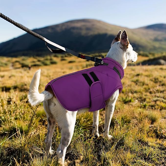 IECOii Big Dog Winter Coat for Giant Breed Dogs Waterproof Dog Jacket with Built in Collar, Reflective Dogs Coat Pet Snow Jacket for Great Dane Saint Bernard, Easy Outdoor Walking, Purple - 5XL