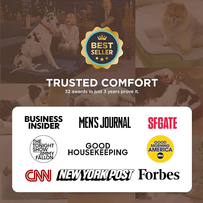 Bedsure Self Warming Orthopedic Dogs Bed for Small Dogs - Washable Small Dog Bed Waterproof, Comfort Pet Couch with Removable Cover, Supportive Foam Pets Sofa with Nonskid Bottom, Brown