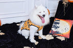 Aiboria Dog Jackets Windproof Outfit Coat Dog Vest Harness Puppy Warm Jacket Halloween Orange S