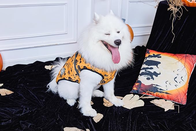 Aiboria Dog Jackets Windproof Outfit Coat Dog Vest Harness Puppy Warm Jacket Halloween Orange XXL