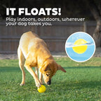 Outward Hound by Planet Dog Squeak Ball Bouncy Fetch Dog Toy, Yellow