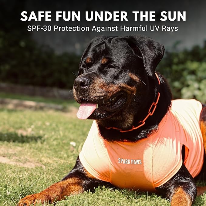 Spark Paws Sunblock Dog T-Shirt, SPF30 Protection, Lightweight Breathable Quick Dry for Dogs with Sensitive Skin - Purple & Peach (Set of 2) - L