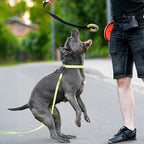 Dingo Puller tug Toy for Dog with Bungee Handle for Dog Training, Agility, tug of war 15674