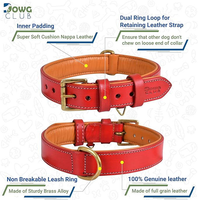 Genuine Leather Dog Collar | Full Grain, Heavy Duty, Comfortable, Padded, Strong | Best for Pups, Small, Medium, Large & XL Breeds (Large (Fit Neck Size 18.5"-22.5"), Red)